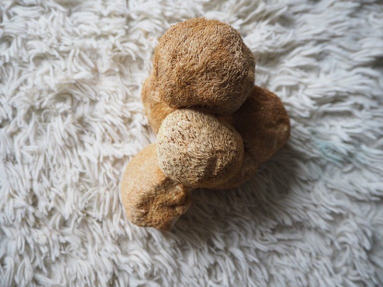 Ежевик гребенчатый - Интернет магазин грибов трав и чая